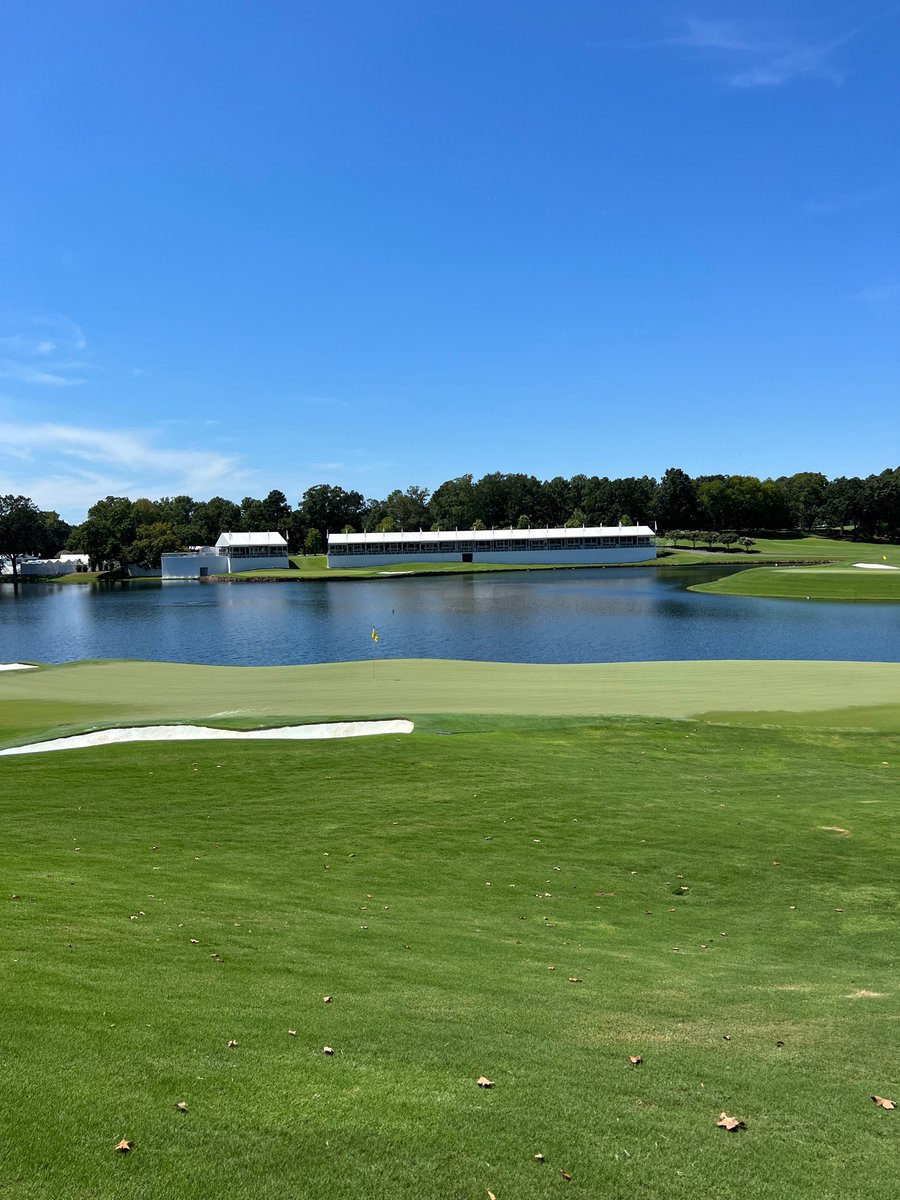 Webb Simpson tweet media