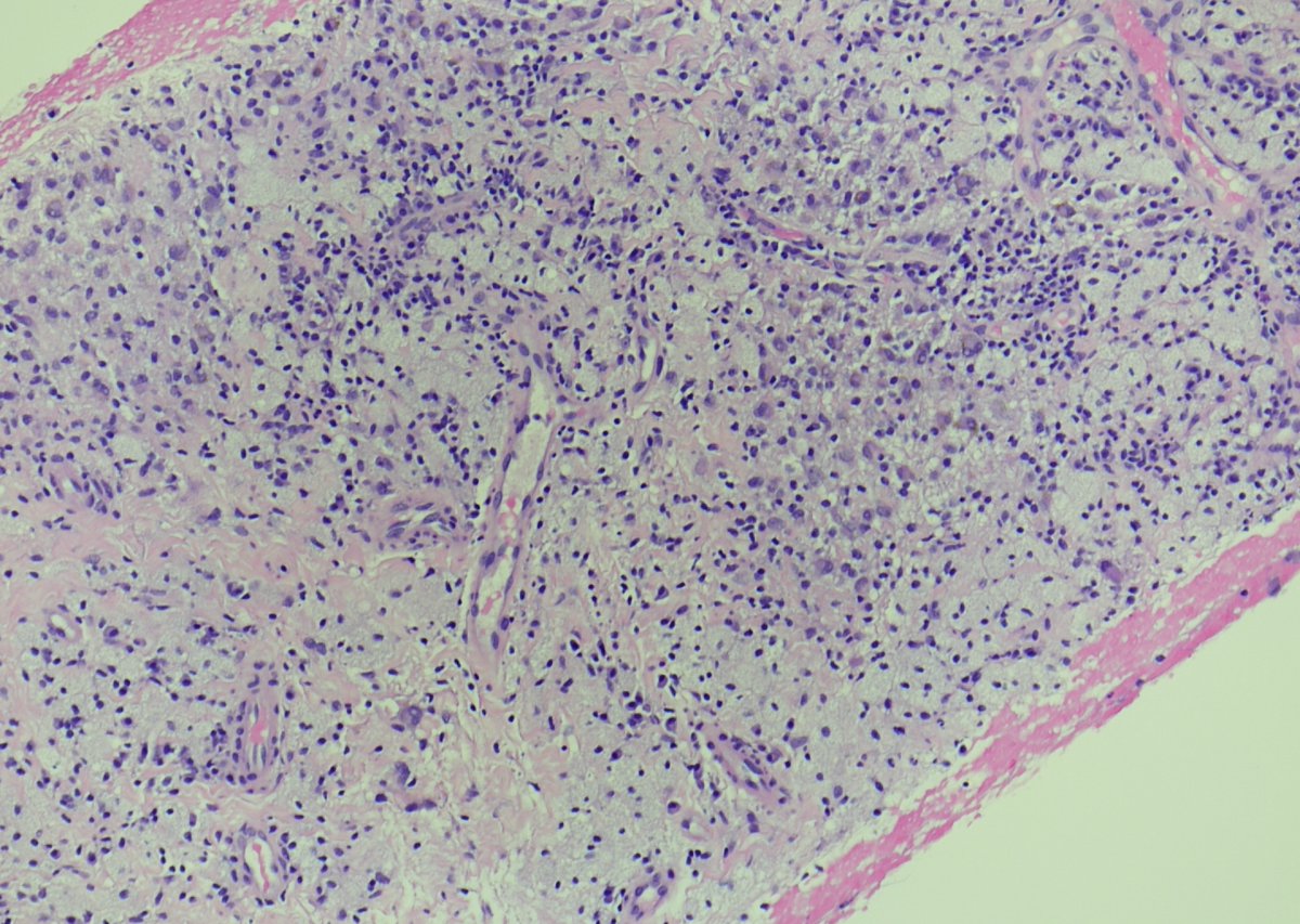 BST Path Education tweet media