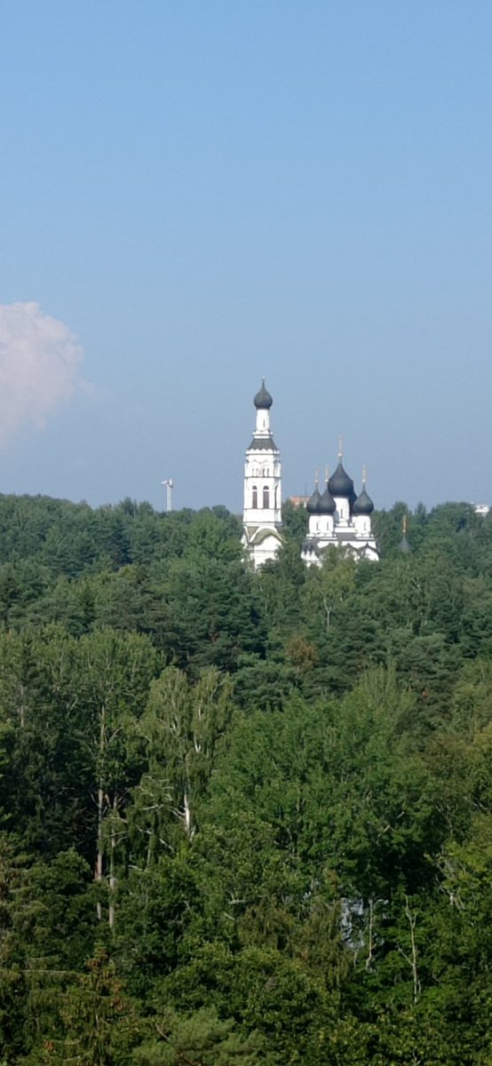 winterthro_ne's tweet photo. #92daysOfSummer
Дожимаю челлендж. Жаль, что от лета остался крошечный хвостик! 
Таки съездили в Териоки. Вот вид с тамошнего колеса обозрения. https://t.co/uuhk5EaI1o