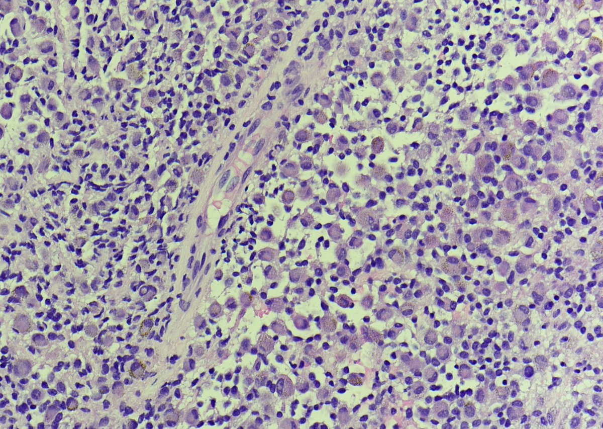 BST Path Education tweet media