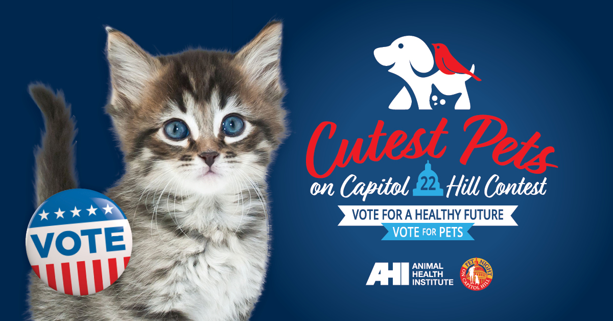 AnimalsHealthy on Twitter: "ICYMI, we kicked off our annual Cutest Pets