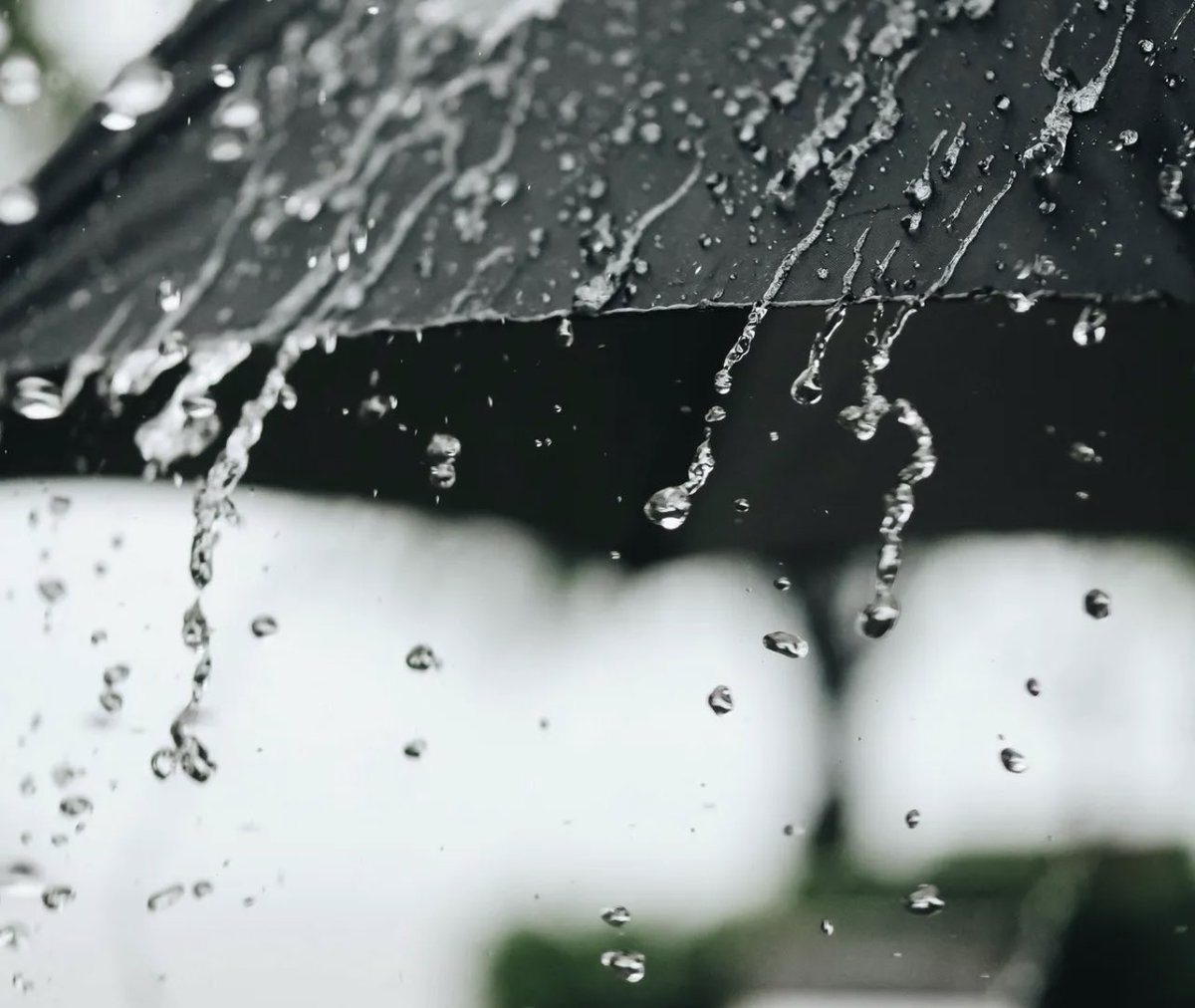 CaldwellProud's tweet photo. It’s a nice rain coming down, and we hope you are staying dry! We are experiencing some intermittent power outages, but all are safe and continuing the school day. If there are any changes or delays with this afternoon’s dismissal due to weather conditions, we will let you know. https://t.co/e75GL9iCJ5