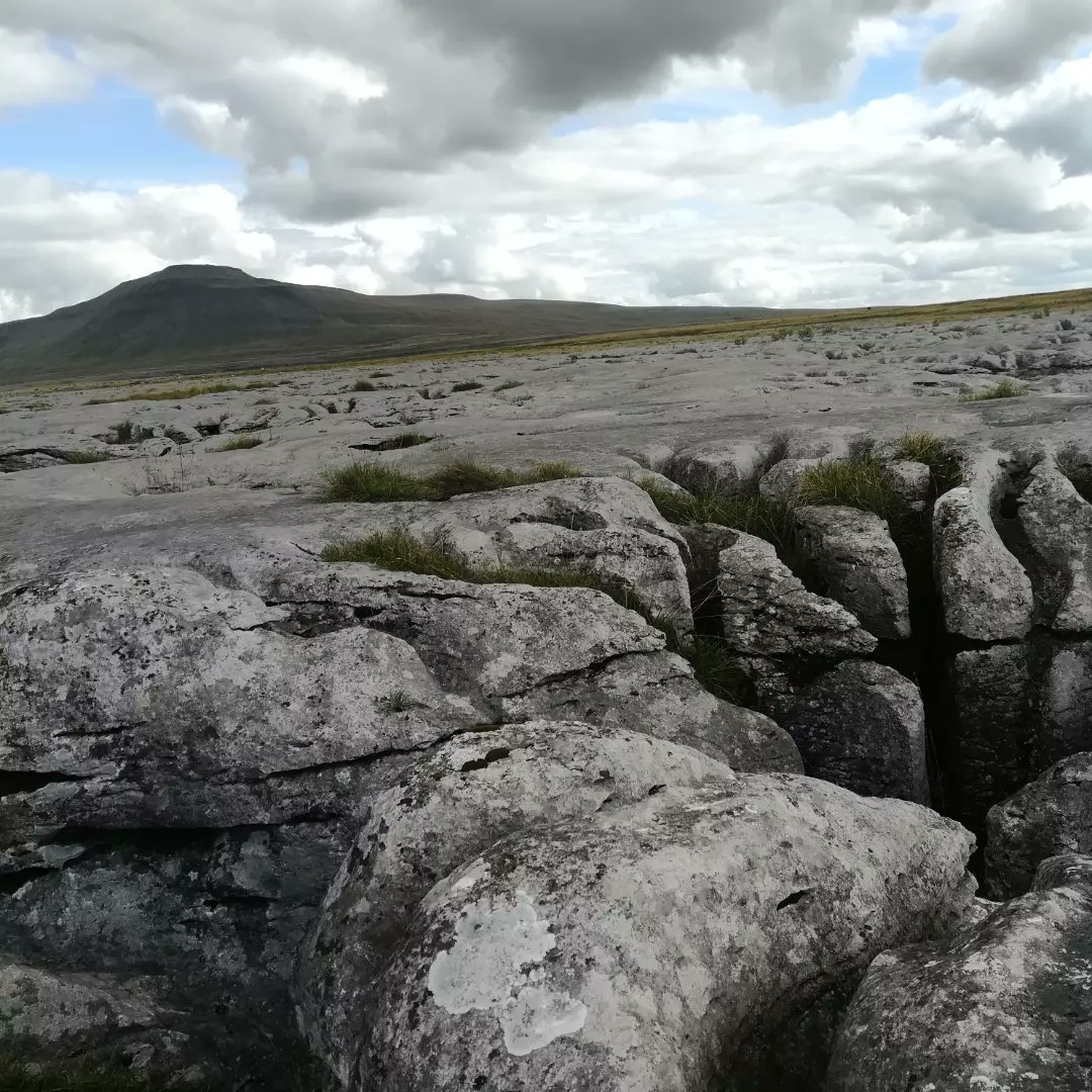 anghenn's tweet photo. Broke the dog in on Whernside. Or should I say 'broke the dog on' Whernside!! Keep up cocker. #hikingwithdogs #hikingwithkids #yorkshiredales #yorkshire #whernside #twistletonscar https://t.co/jpLqAiP81h
