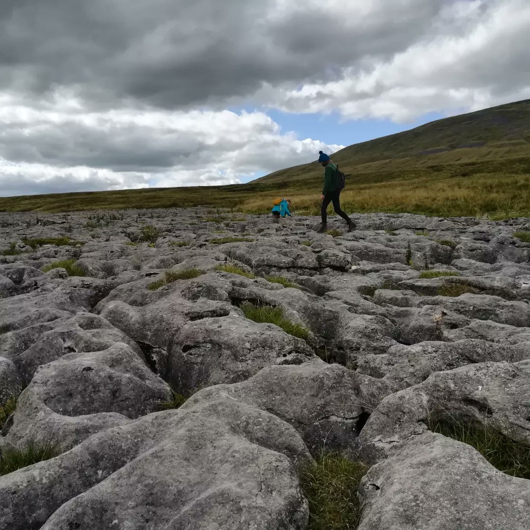 anghenn's tweet photo. Broke the dog in on Whernside. Or should I say 'broke the dog on' Whernside!! Keep up cocker. #hikingwithdogs #hikingwithkids #yorkshiredales #yorkshire #whernside #twistletonscar https://t.co/jpLqAiP81h
