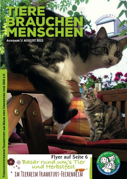 Tierschutzverein Frankfurt und Umgebung von 1841 e.V.

Unsere neue Tierheimzeitung ist wieder da, viel Spaß beim Stöbern.

Gerne kann man die Zeitung auch im Tierheim abholen.

comedius-cloud5.de/webs/comedius_…
