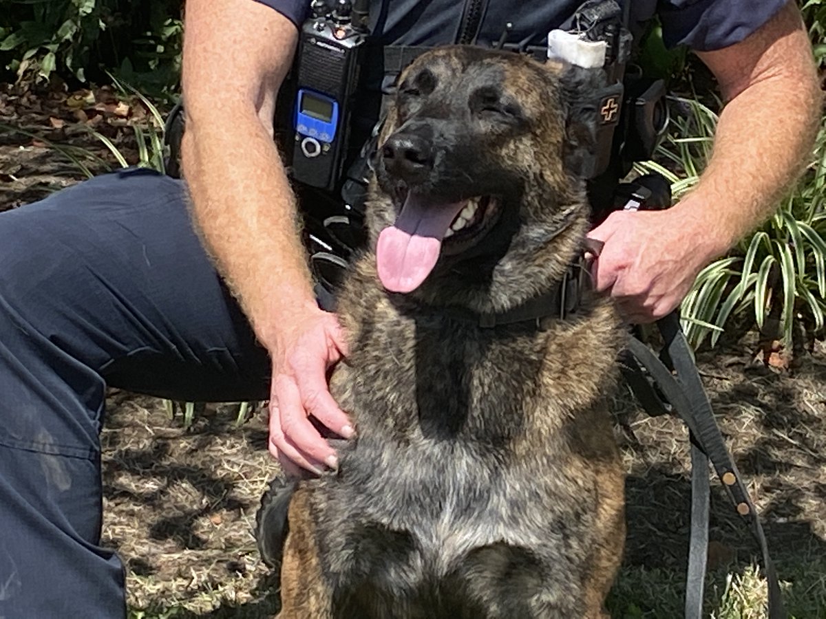 BlueAshPD's tweet photo. #RubysTuesday Everyone say Cheese!
#Policek9 #girlpower #Shallowcreekkennels https://t.co/Mgl1BulgzR