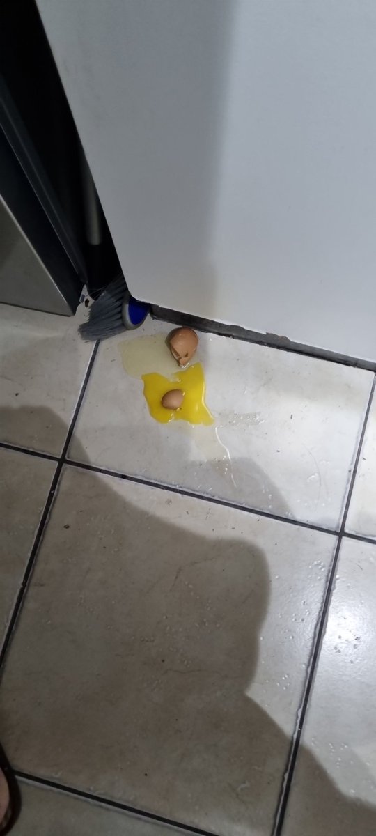 vaughn964's tweet photo. We rember this day of our fallen comrade, who selfishly sacrificed himself so that all the eggs could fit in the fridge. #RIPEGG https://t.co/HvRrU1LhVA