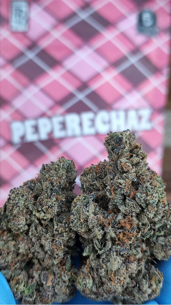 Peperechaz #Peperechaz #TheBackpackBoyz #BackpackBoyz