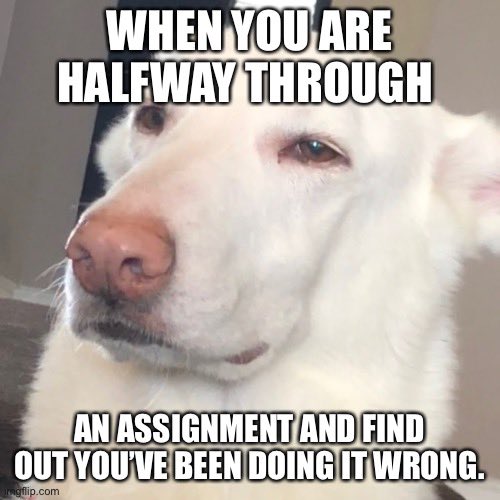 Amber__Shelton's tweet photo. Gotta keep it light when you realize you messed up!!! #MCO335 #overitdog #memes #animalmeme https://t.co/RRfEBVRKlk