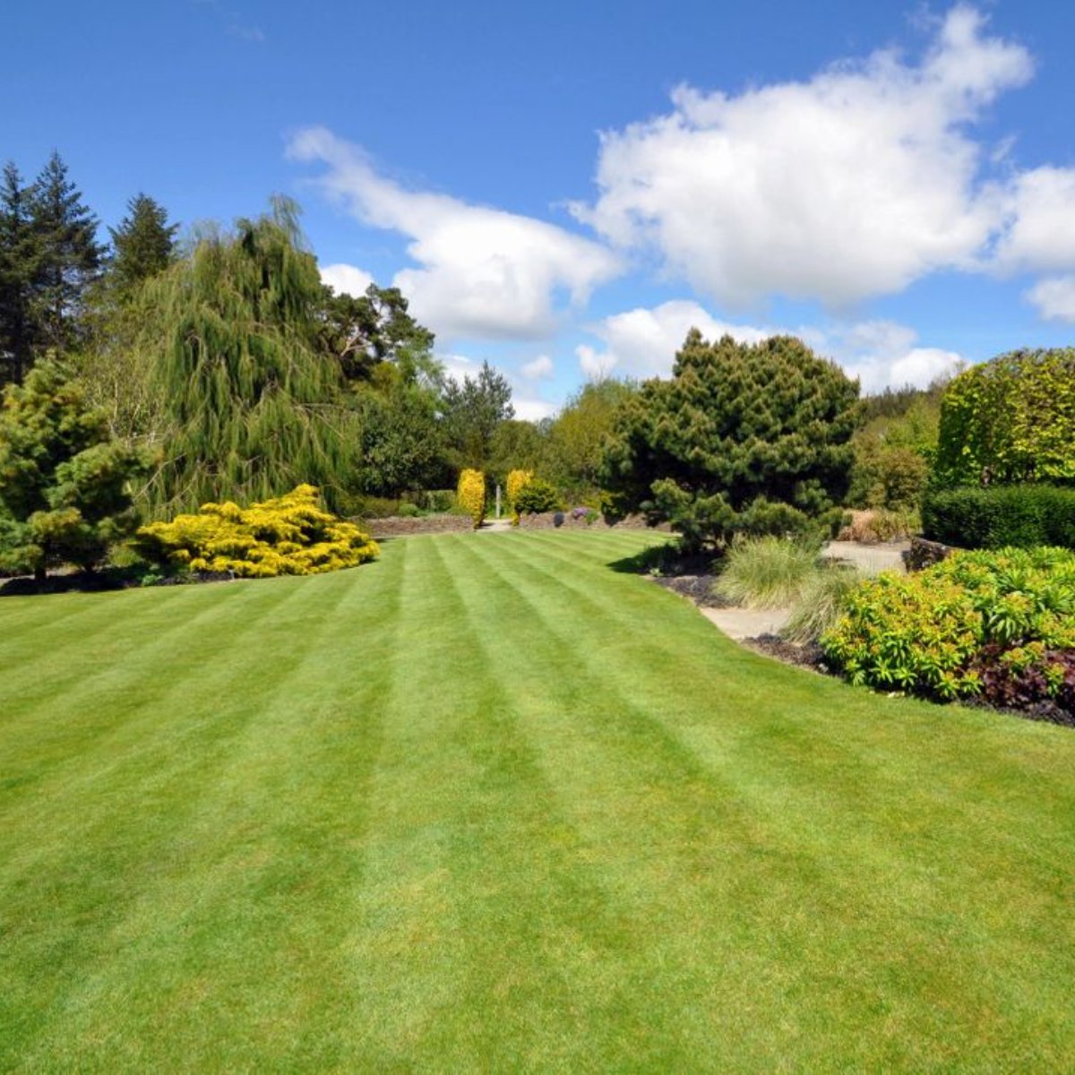 European Lawn Yard