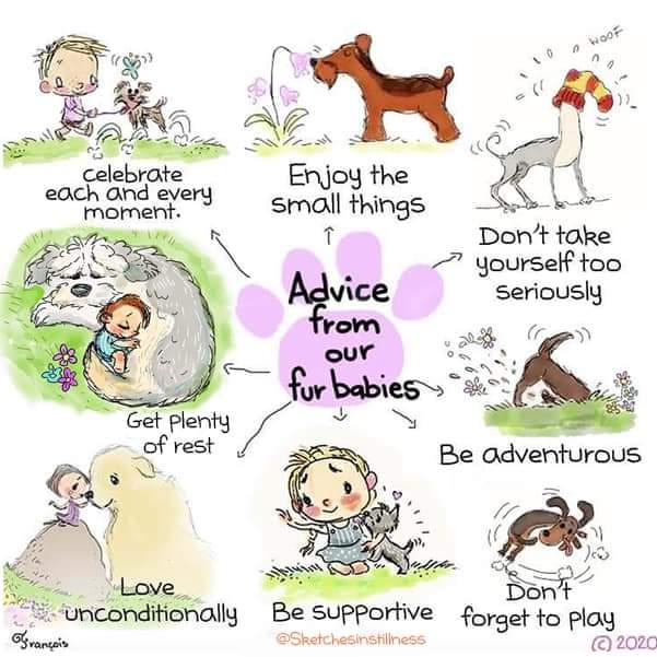 Rory Lantermoz (@lantermozrory) on Twitter photo 