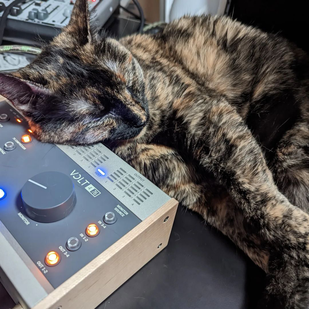 UAudio's tweet image. A quick snooze between vocal takes 🎙😸
📸 instagr.am/ubermut1

#UniversalAudio #UAvolt #Volt476 #musicproduction #musician #recording #studiopets