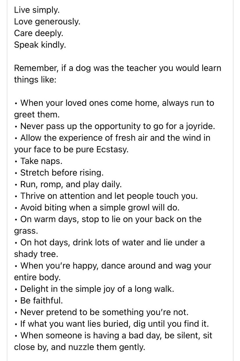 CraigSaeed's tweet photo. Things my dog has taught me….he is a better person than most. https://t.co/NhYELZM51d