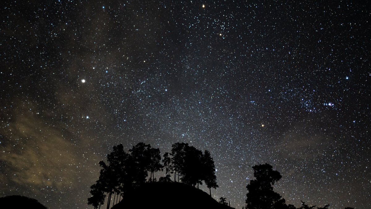 josesanchezfoto's tweet photo. Look to the Stars https://t.co/wpeLy7UhrP