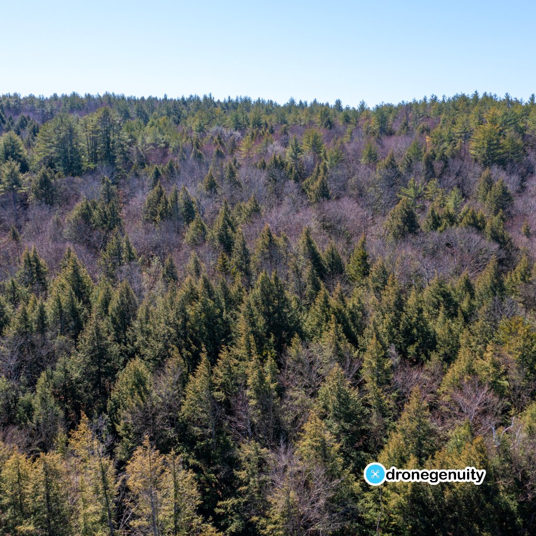 Dronegenuity's tweet image. The Woods of Springfield, Vermont🌲
.
.
.
.
.
#springfieldvt #vermont #outdoors #drone #drones #dronepilot #dronephoto #dronephotography #aerialphotography #dronestagram #dronegenuity