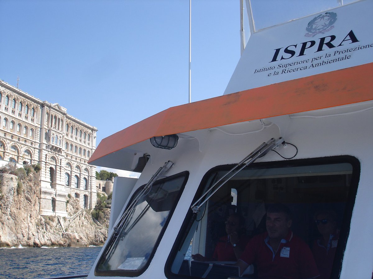 MonacoEcoArt's tweet photo. 🚢🐬 NEW #TRENDS & #CIRCULARECONOMY #Science #environment #protection #RAMOGE returns to the Sea to explore the coastal abysses #news by https://t.co/Fxmrd0L9Tk @ramoge_21 @Pelagos_ @MiTE_IT 👉https://t.co/X2zmUt4w32 https://t.co/FkrczNcrKb
