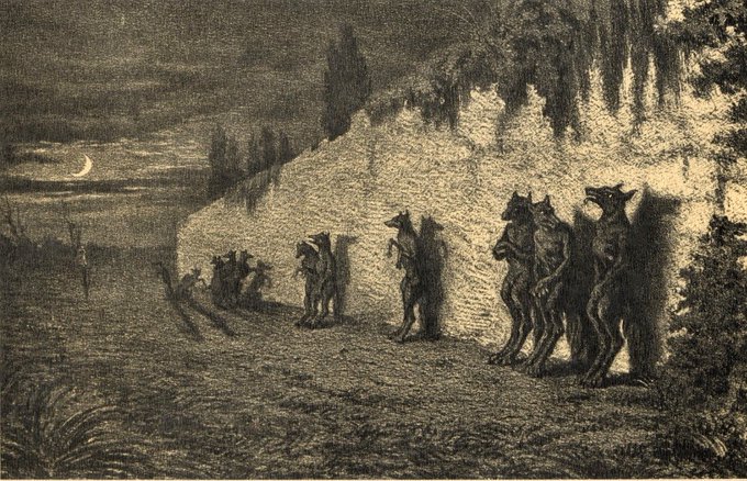 DrSamGeorge1's tweet photo. FRENCH WEREWOLVES – A Thread 
French #werewolves stand upright against a cemetery wall in this fascinating illustration 'Les Lupins' by Maurice Sand (1823-1889).  I elaborate on the unsettling gothic history of French werewolves in this thread https://t.co/UQSlEGCrHH