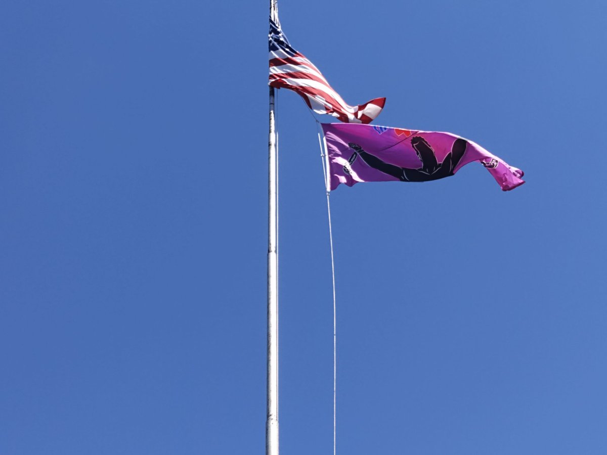 WokeLiLi68's tweet photo. St Louis City Hall
Th pink flag says
Remember th 400
Which obviously is a reference to slavery but I am unfamiliar w this slogan
That reminds me
What th hell is goin on in Mississippi ?
No water ?
WTF
#RememberThe400 https://t.co/XEuVYlrfKB