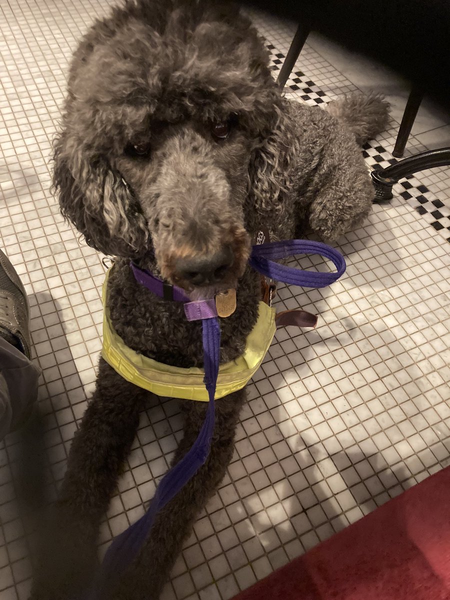 A quiet coffee on the way to work this morning.  #selfcare missed his pal <a href="/gaston_mccarthy/">Gaston McCarthy</a> in the office today. Getting ready for a busy few months.