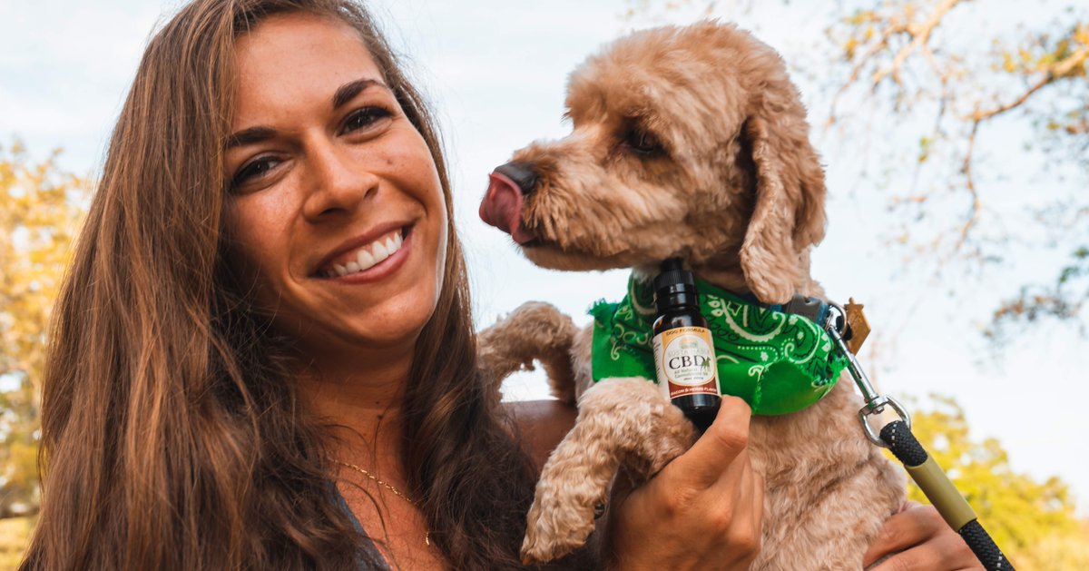 SustainableCBD's tweet photo. CBD has benefits for dogs too! Potential benefits include
πΎ Pain reduction
πΎ Lessening of inflammation
πΎ Immune system support
πΎ Decrease in seizures/convulsions
πΎ Cardiovascular system support
πΎ Anxiety moderation
πΎ Gastrointestinal support
#dogcbd #benefitsofcbdfordogs https://t.co/ixtqGH8Ufw