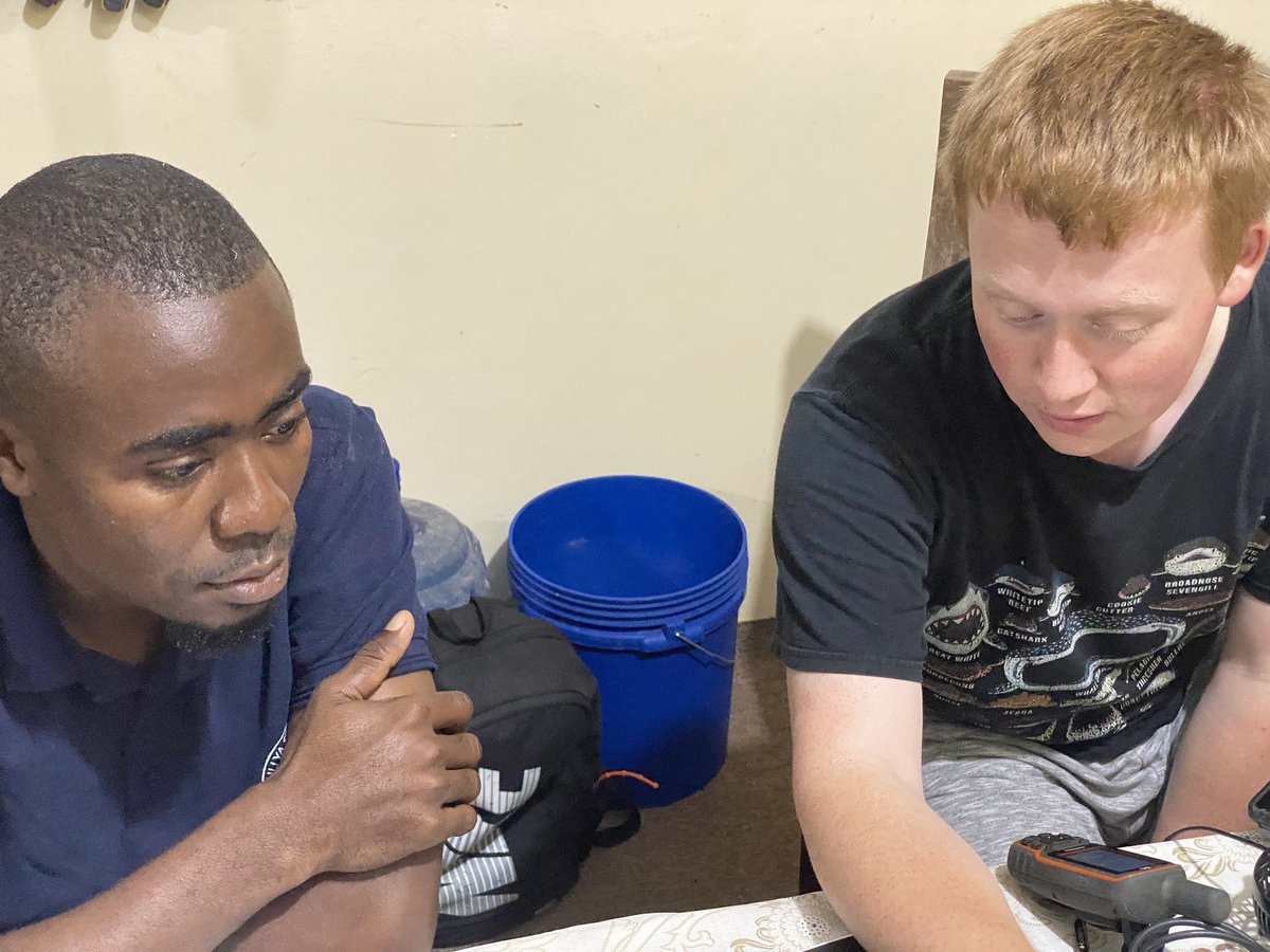 Delighted to welcome Abdul Ali today joining the @ZanzRedColobus team for a 2-week training placement. Abdul is a MSc student from @StateSuza planning his thesis research with us on colobus! @AllsopPatrick is already showing Abdul how we enter and manage colobus ranging data!