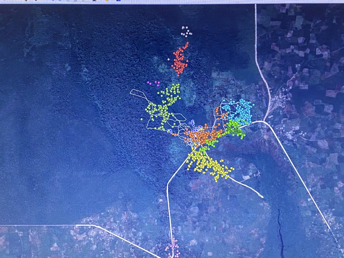 Dr Alexander Georgiev tweet media