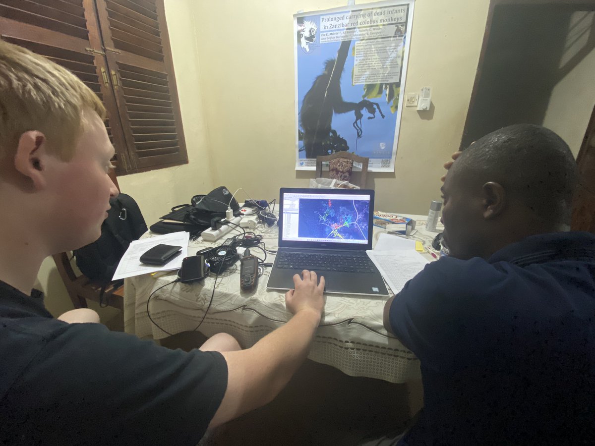 Dr Alexander Georgiev tweet media