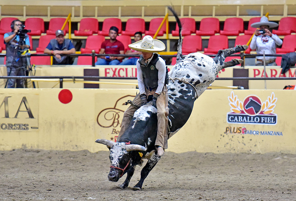 millonariothv's tweet photo. Rancho El Mirasol acaricia la excelencia sin paso de la muerte en el cierre de la jornada del lunes en el #CampeonatoMillonarioTHV

· La Escuela Municipal de Tlajomulco lidera a las escaramuzas con 318.66 puntos #ExperienciaMillonaria #LaPichoniza

https://t.co/ecJO9z8HSr https://t.co/ET1mAguwjV