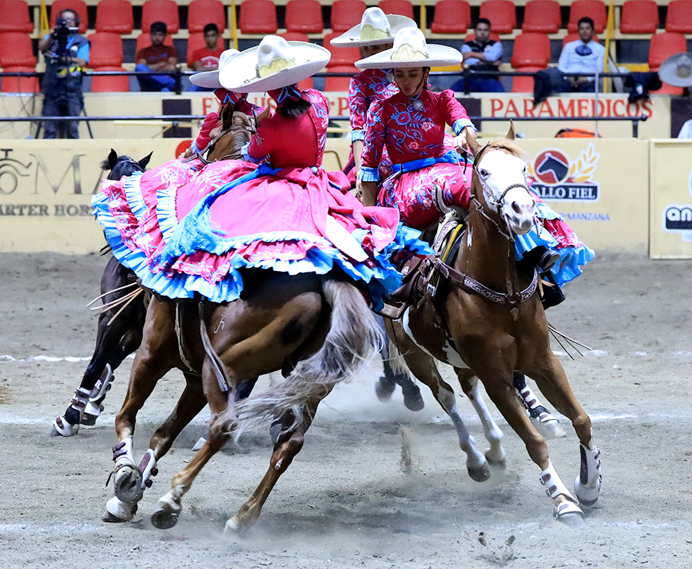 millonariothv's tweet photo. Rancho El Mirasol acaricia la excelencia sin paso de la muerte en el cierre de la jornada del lunes en el #CampeonatoMillonarioTHV

· La Escuela Municipal de Tlajomulco lidera a las escaramuzas con 318.66 puntos #ExperienciaMillonaria #LaPichoniza

https://t.co/ecJO9z8HSr https://t.co/ET1mAguwjV