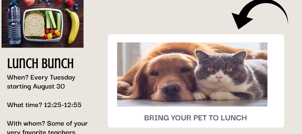 McDonaldN1908's tweet photo. I just attended my first lunch bunch for the school year with our virtual students! Thanks Ms. Jalufka for being such a cool host! Honey and Nala were a hit! #fisdplus #fisdmadetoshine https://t.co/lTKjMcAz0T