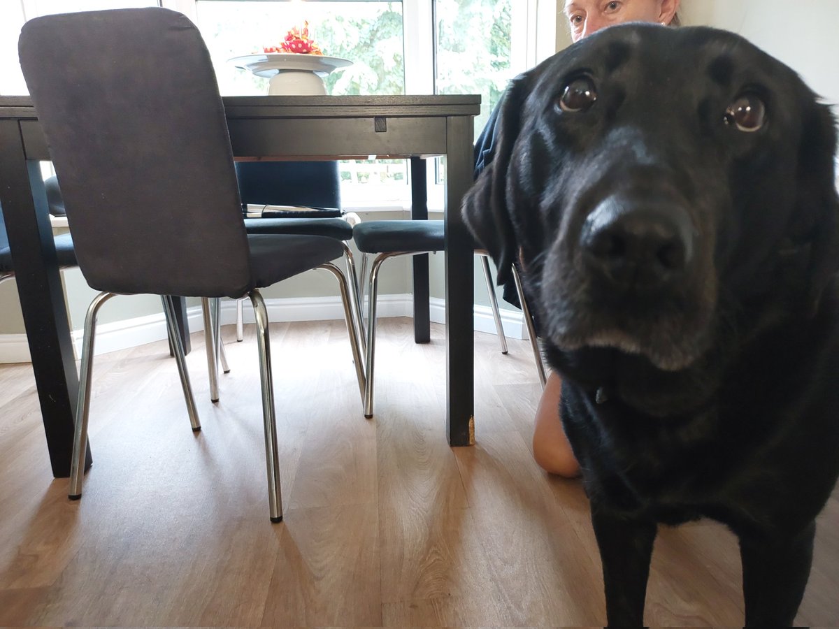 gdvenus2016's tweet photo. Another birthday photo, waiting for dad to blow out the candles. https://t.co/TlDqzllS4G