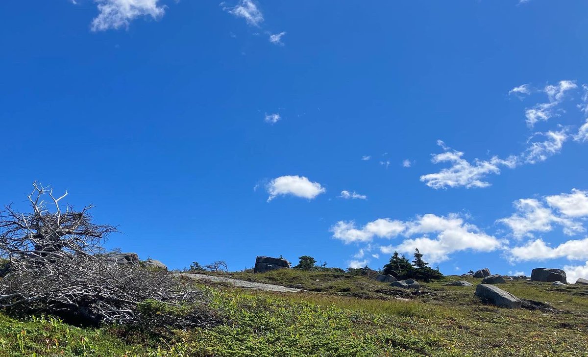 patricahewitt's tweet photo. Little trek near Flatrock yesterday! #largeday #bigsky https://t.co/a4zrijpIgl