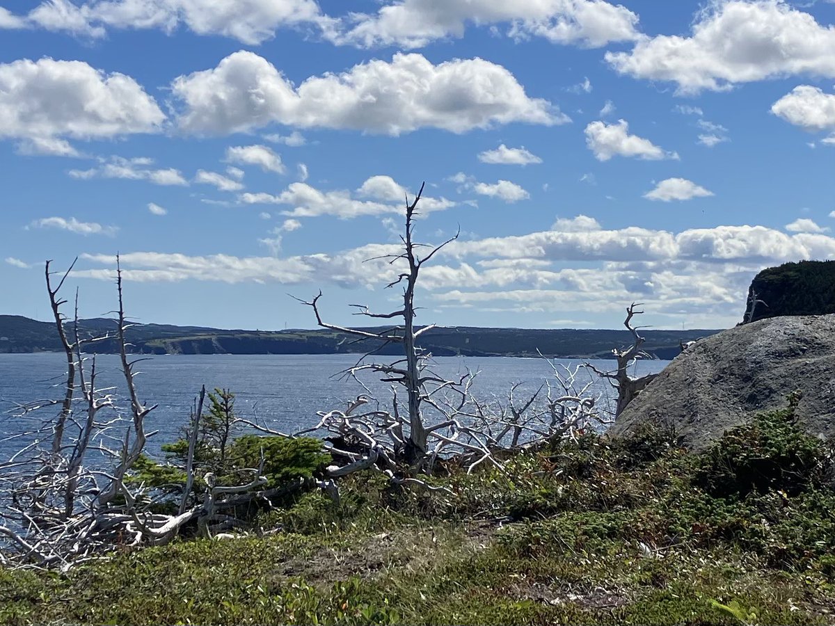 patricahewitt's tweet photo. Little trek near Flatrock yesterday! #largeday #bigsky https://t.co/a4zrijpIgl