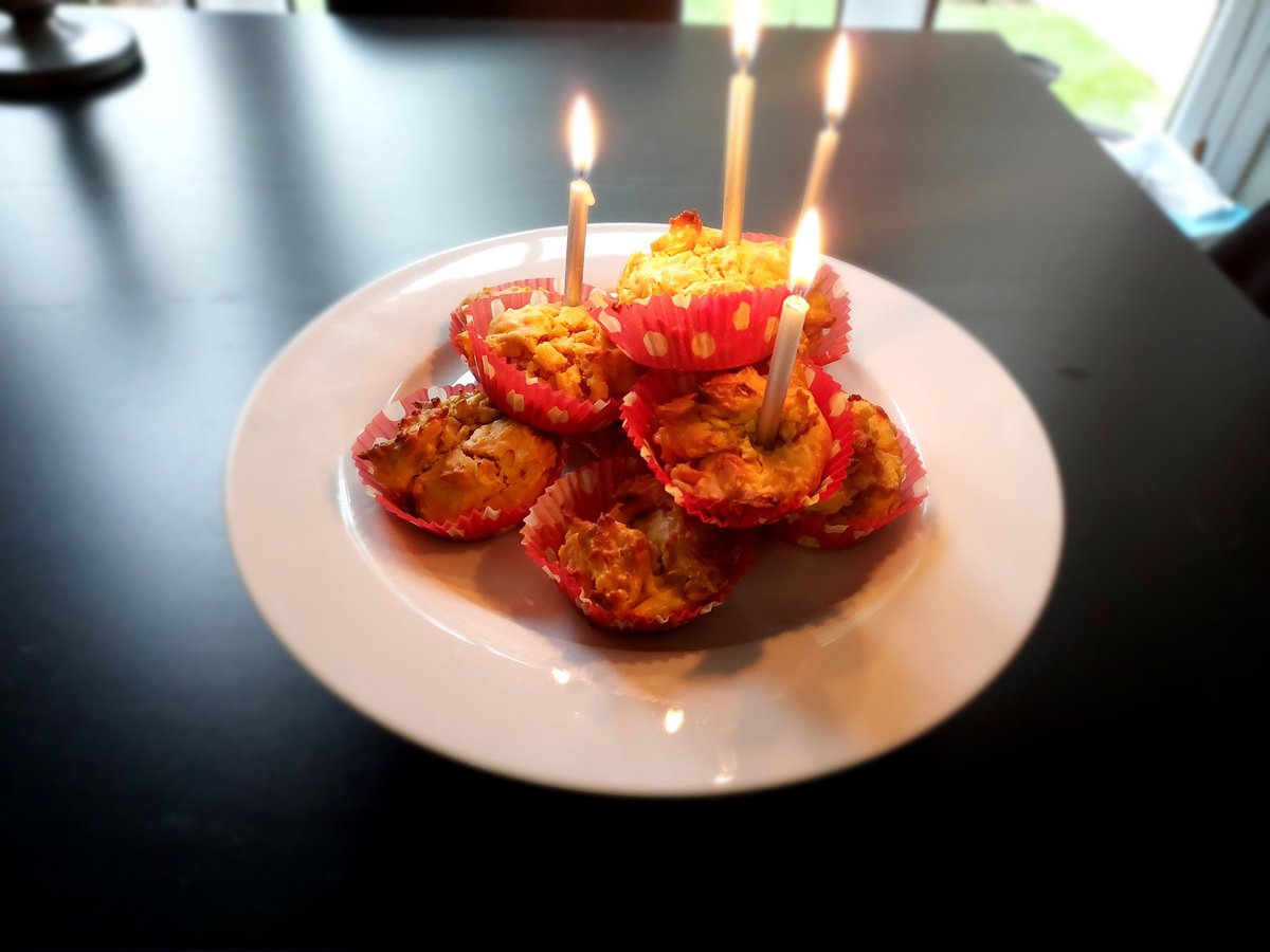 gdvenus2016's tweet photo. It's my birthday today. Mum made me some birthday cake. It is all doggy-friendly ingredients. It was very nice but I was only allowed one. Dad blew out the candles for me - apparently it's not safe for me to go near them. https://t.co/GozmVxyQrw