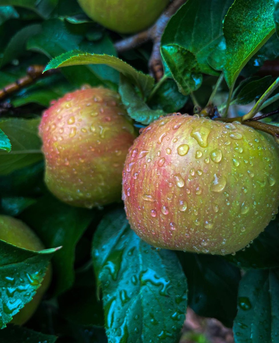 A rainy day but we’re still treading along. 💧