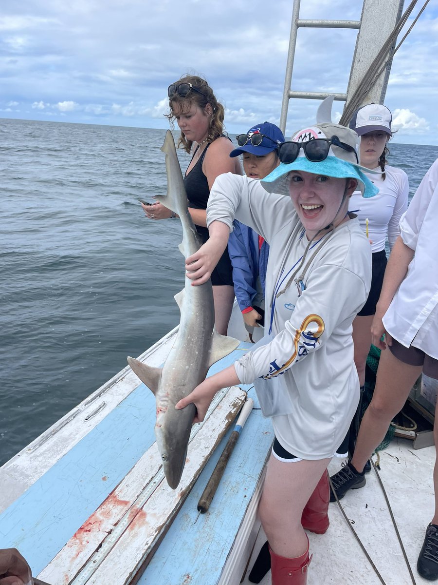 Dreams coming true <a href="/UNCims/">UNC IMS</a>. Can we do it again soon?