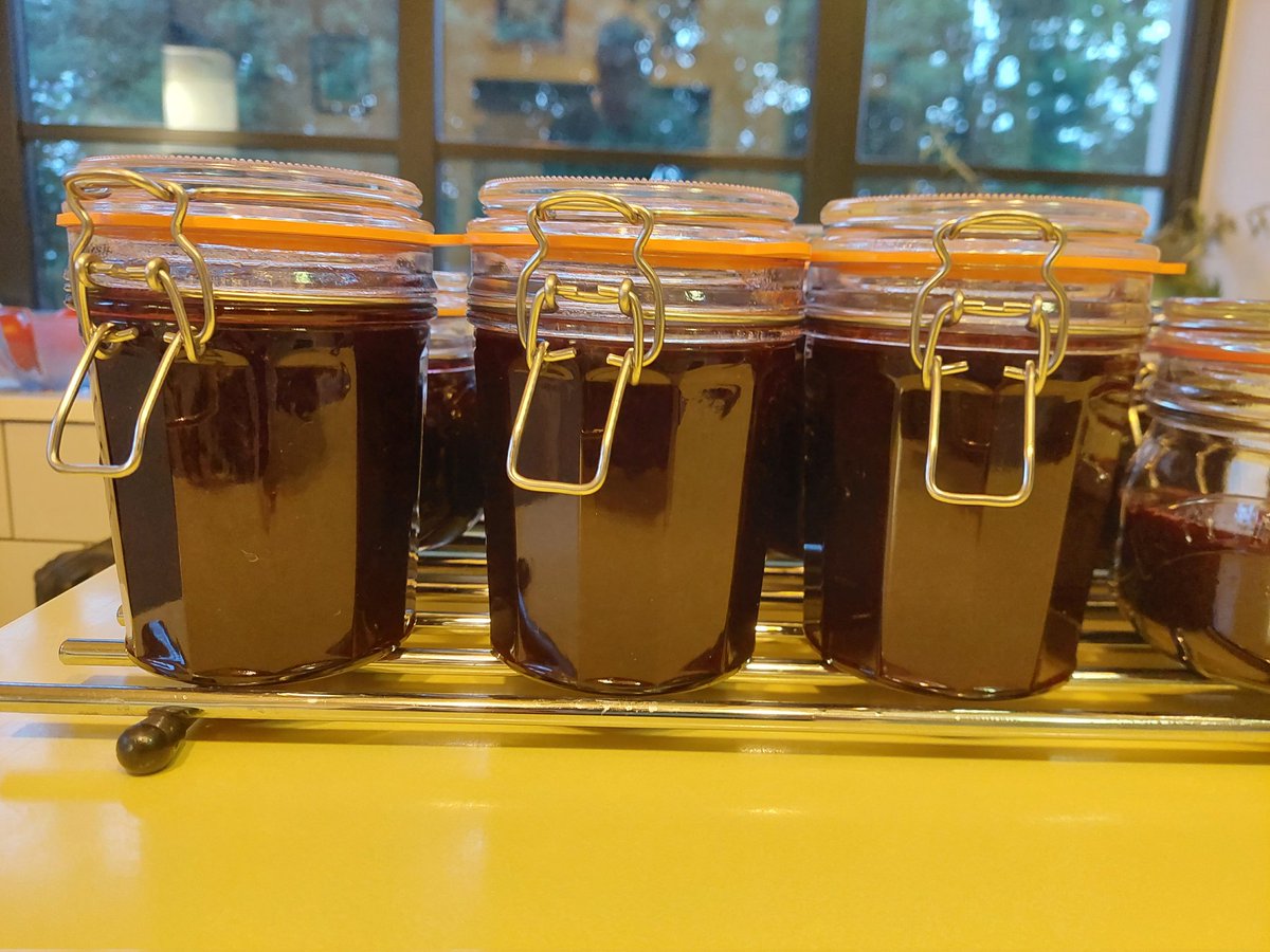 ControlTowerNC's tweet photo. 'Tis the season... damsons aplenty this year.
My first attempt at damson jam - a bit of a faff with all those little stones but nice result.
Will be available to guests soon :)
#damson #damsonjam #gardenharvest #miniorchard #digforvictory #deferredgratification #onthemenu https://t.co/jwt2U6b82b