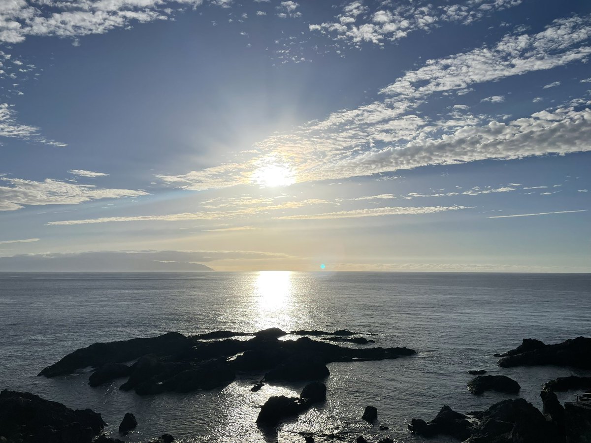 David Knowles Photography tweet media