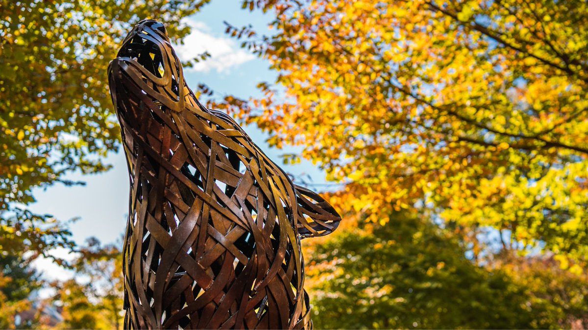 These new rankings are 🔥! The <a href="/NCStateMBA/">NC State Jenkins MBA</a> program has again earned national recognition as one of the best online MBA programs in the country by the <a href="/OnlineMBAReport/">Online MBA Report</a> — No. 2 in North Carolina and No. 17 nationwide! online-distance.ncsu.edu/online-mba-rep…