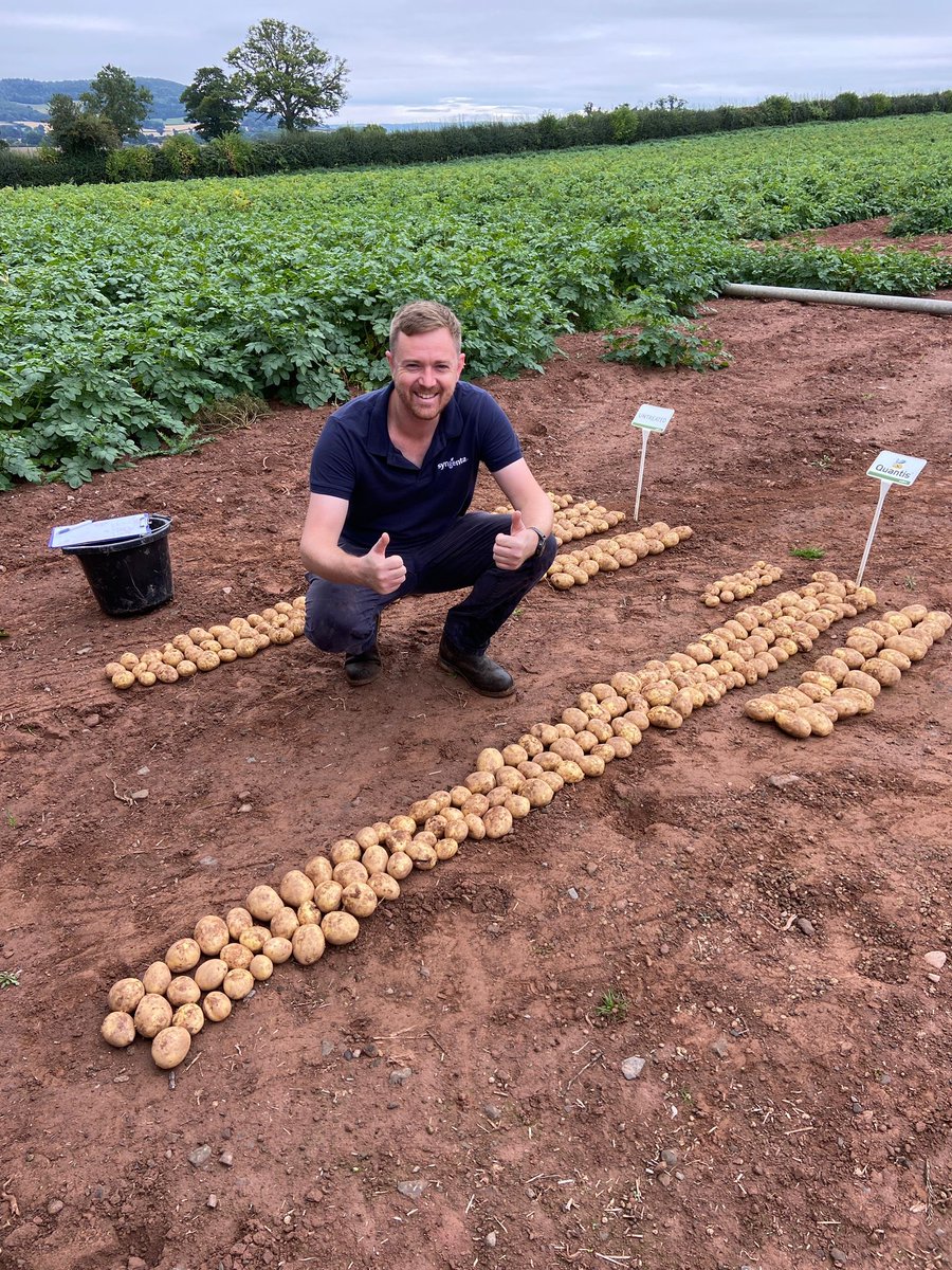 The heat wave has been tough for potatoes.
This season's Herefordshire #QUANTIS field trial shows how 
#syngentabiostimulant can boost yield when the heat is on.  

Protect plants against stress with QUANTIS, visit: syngenta.co.uk/quantis
