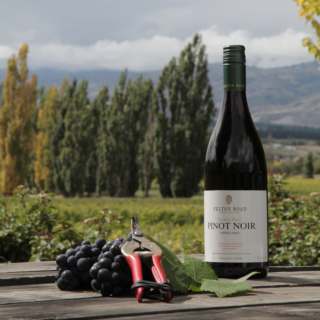 2021 represents the 25th anniversary since Felton Road officially released its first vintage in 1997. We are delighted to offer a dual vintage release of both the 2020 and 2021 vintages: goedhuis.com/collections/fe…

#finewine #pinotnoir #feltonroad #centralotago #newzealandwine