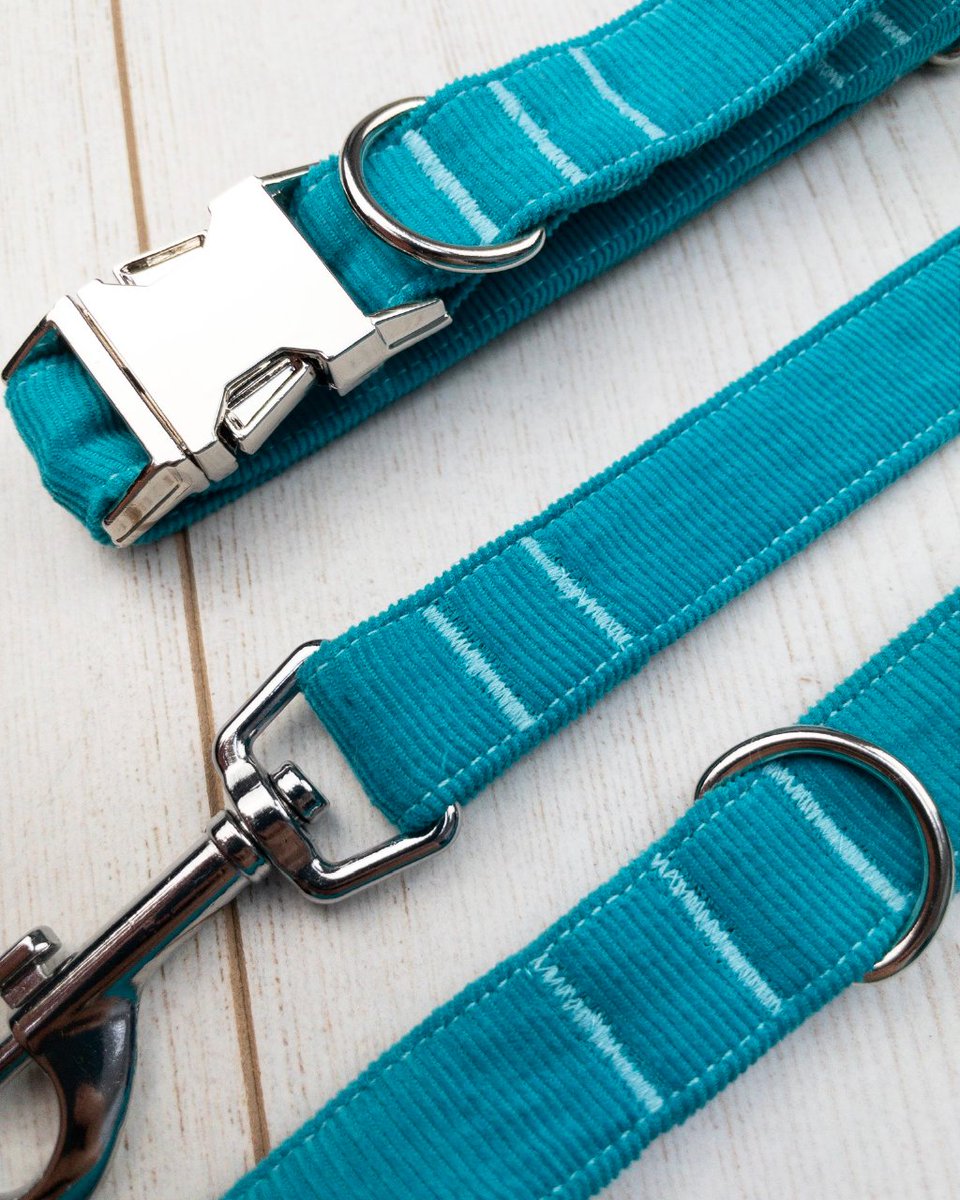 albiesboutique's tweet photo. The Turquoise Collection.👌

Handmade in a luxury soft-touch corduroy fabric, the range includes dog collar, lead, and bow tie, all available to purchase individually.

Get yours from our Etsy shop 🛍️👇

https://t.co/jnA4B9Of2h https://t.co/WPOyUM6PS8