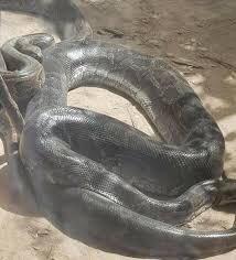 Hatab (@hatab07570789) on Twitter photo 