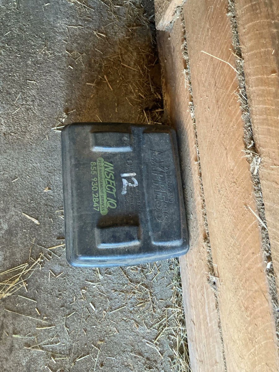 IQBeeRemoval's tweet photo. MICE AND RODENTS IN MY BARN, WHAT DO I DO?

INSECT IQ SPECIALIZES IN RODENT CONTROL. HERE ARE A FEW CRITICAL AREAS.
 Check out our Blog: https://t.co/C6Uk3O68NG
 Call today  855-930-2847. 
#rodent #horse #equine #insectiq #floridaequine #floridaequinerodentservice #barnrats https://t.co/pIaef76Dsi