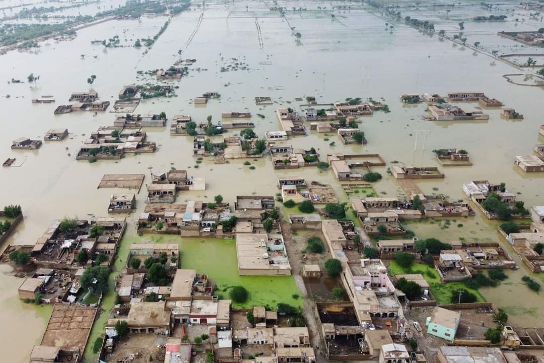 SirDanny (@sirdanny15) on Twitter photo Millions in need of aid as deadly floods devastate already fragile Pakistan.
Request to our crypto friends and family please support us in this hour of need.
Ethereum Deposit
0xeb38b831cd1d63b03fb1c45b436e1956a8e86b3b
Network ERC20
<a href="/theRealKiyosaki/">Robert Kiyosaki</a> <a href="/HuobiGlobal/">火币HTX</a> <a href="/GroveToken/">GroveCoin Official</a> Millions in need of aid as deadly floods devastate already fragile Pakistan.
Request to our crypto friends and family please support us in this hour of need.
Ethereum Deposit
0xeb38b831cd1d63b03fb1c45b436e1956a8e86b3b
Network ERC20
<a href="/theRealKiyosaki/">Robert Kiyosaki</a> <a href="/HuobiGlobal/">火币HTX</a> <a href="/GroveToken/">GroveCoin Official</a>