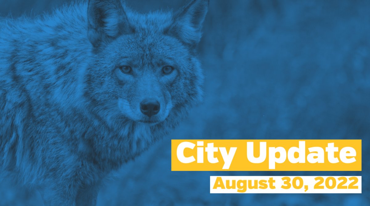 cityburlington tweet picture