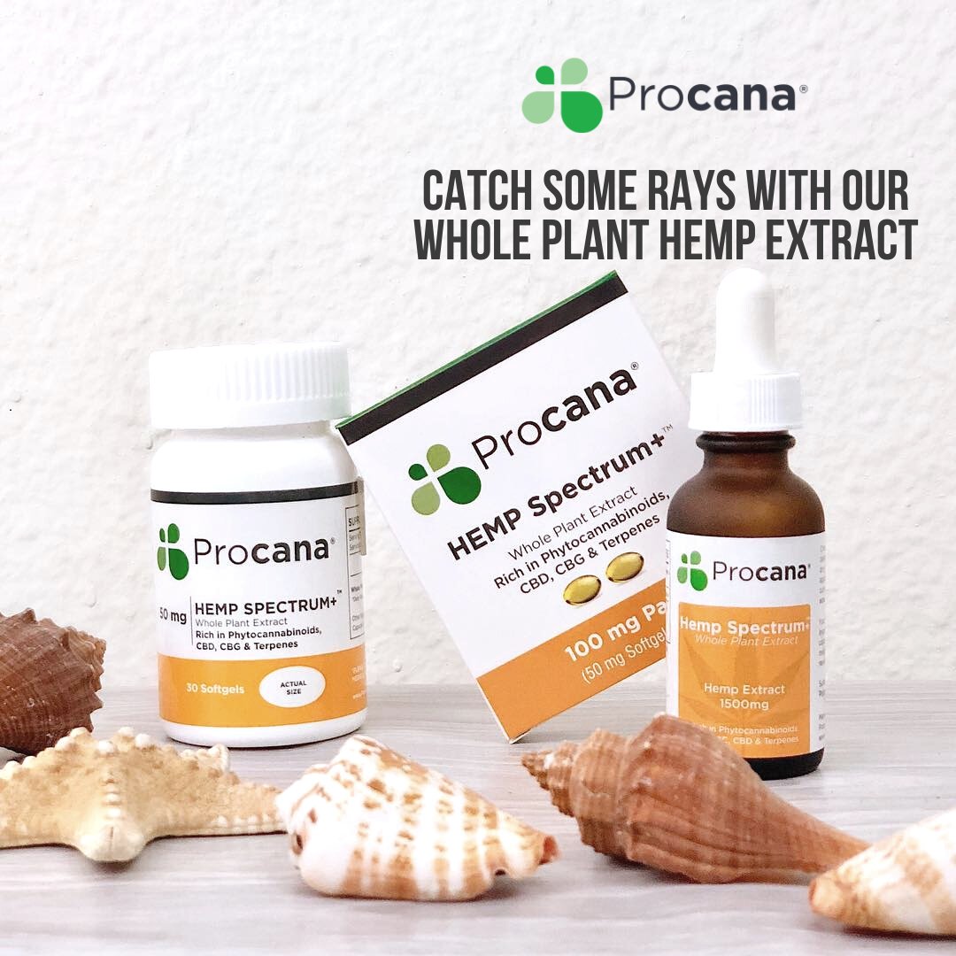 procana's tweet photo. Looking to relax on the beach? 😎🌞 Make sure you have our Whole Plant Hemp Extract with you! It'll help keep your mind and body at ease while you catch some rays. Order now at https://t.co/Ca5Dsui2vU 

#ProcanaCBD #nationalbeachday #beachday #cbd #cbdoil #cbdmovement https://t.co/6lTgRaV6iN