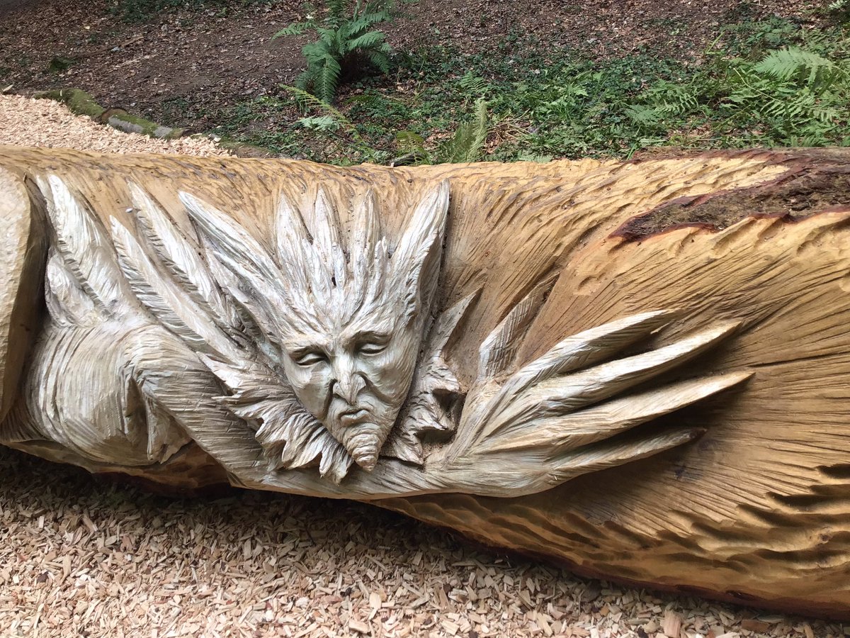 robsonandcowan's tweet photo. If you go down to the woods today,your sure of a BIG surprise 
@WallingtonNt #Elementree and
 #CalverleyOwl,Has Tommy Craggs been let loose with his chainsaw again @NT_TheNorth #SculptureGarden #woodwork https://t.co/3n37MUJ3cT