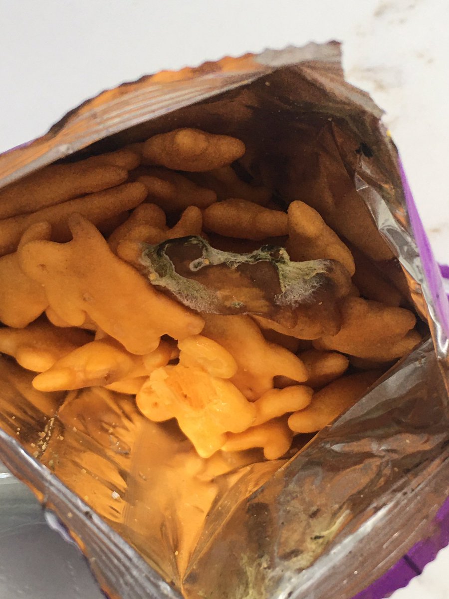 jcline287's tweet photo. When you find a very moldy bunny in your @annieshomegrown cheddar bunnies way before its expiration date ☹️ https://t.co/KIoxb9q0PO