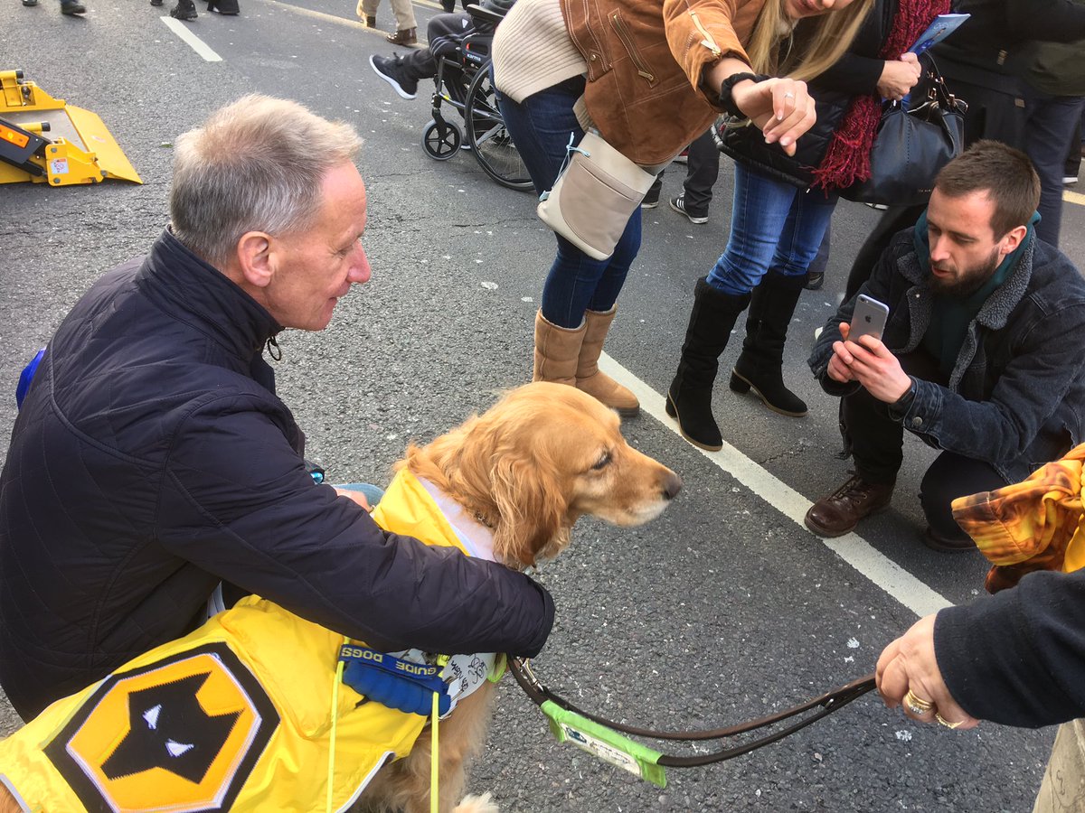 wolvesfancast's tweet photo. #IStandWithBarley 🐺🐕

Keep Barley in the Southbank! https://t.co/ez0nPNFeLE